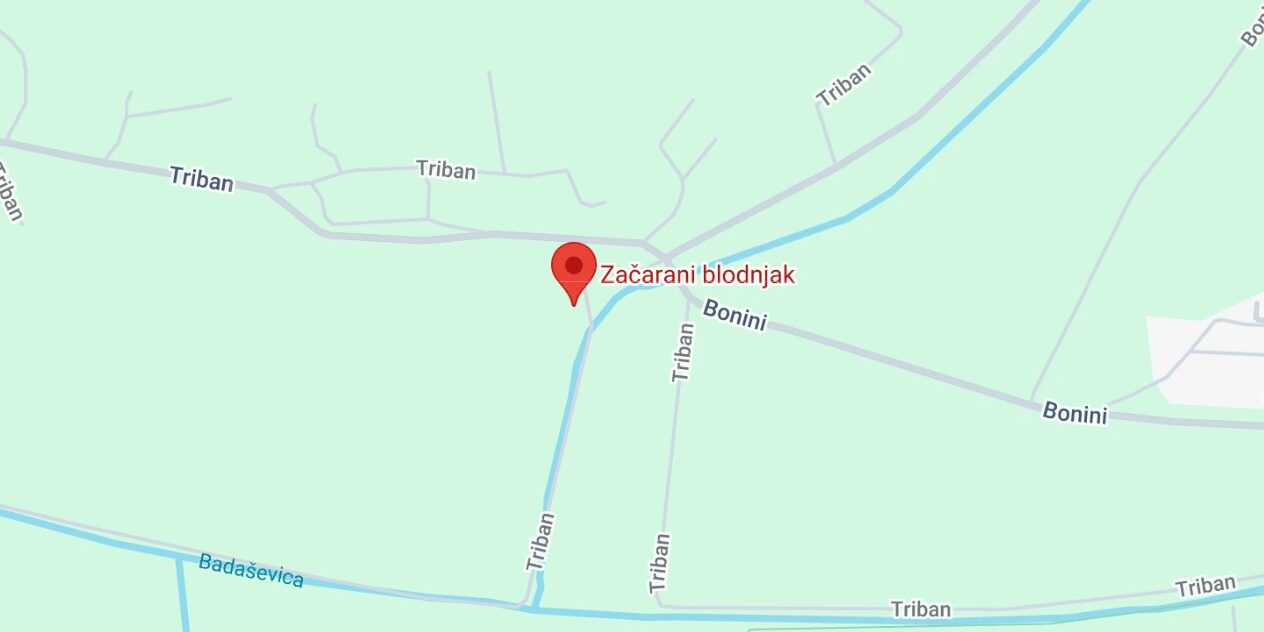 začarani blodnjak lokacija koper